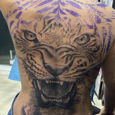 Tatouage Tigre – Première Séance, Dos Complet 