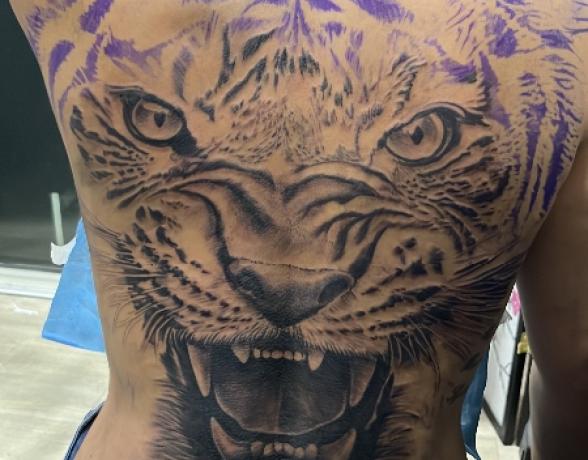 Tatouage Tigre – Première Séance, Dos Complet 